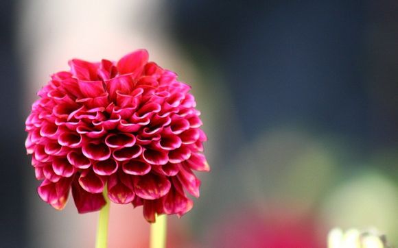 承销人员责任怎么追究