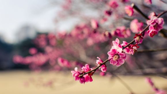 买500股票收益是多少