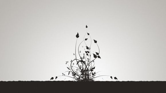 福州社保费用是多少钱