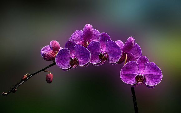 拍拍贷如何投资散标