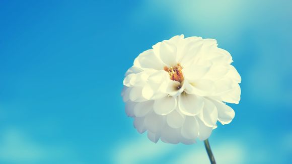 怎么知道医保卡激活了