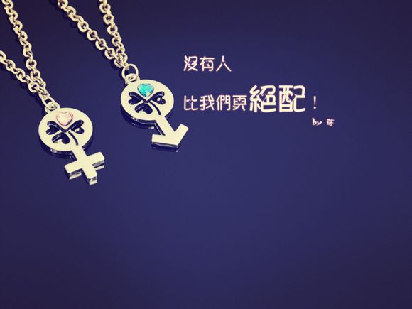 如何查看基金机构占比