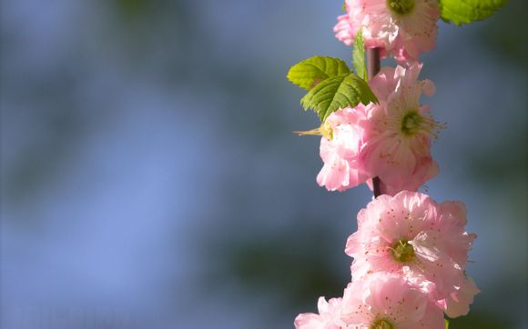 余额宝每笔取现多少