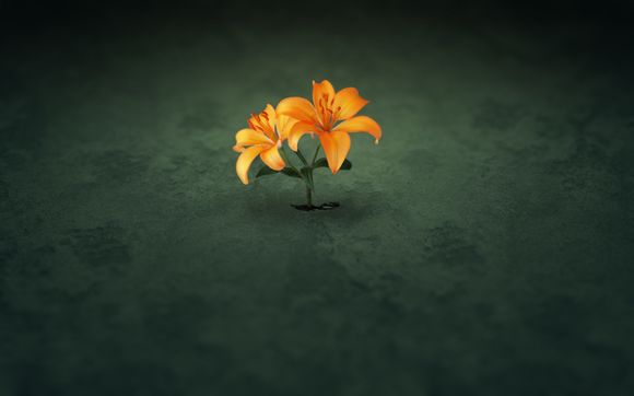 柜员怎么拉存款